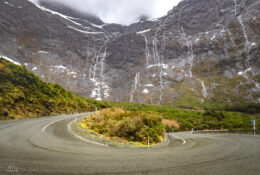 New Zealand 2025 (2 group) (25/84)